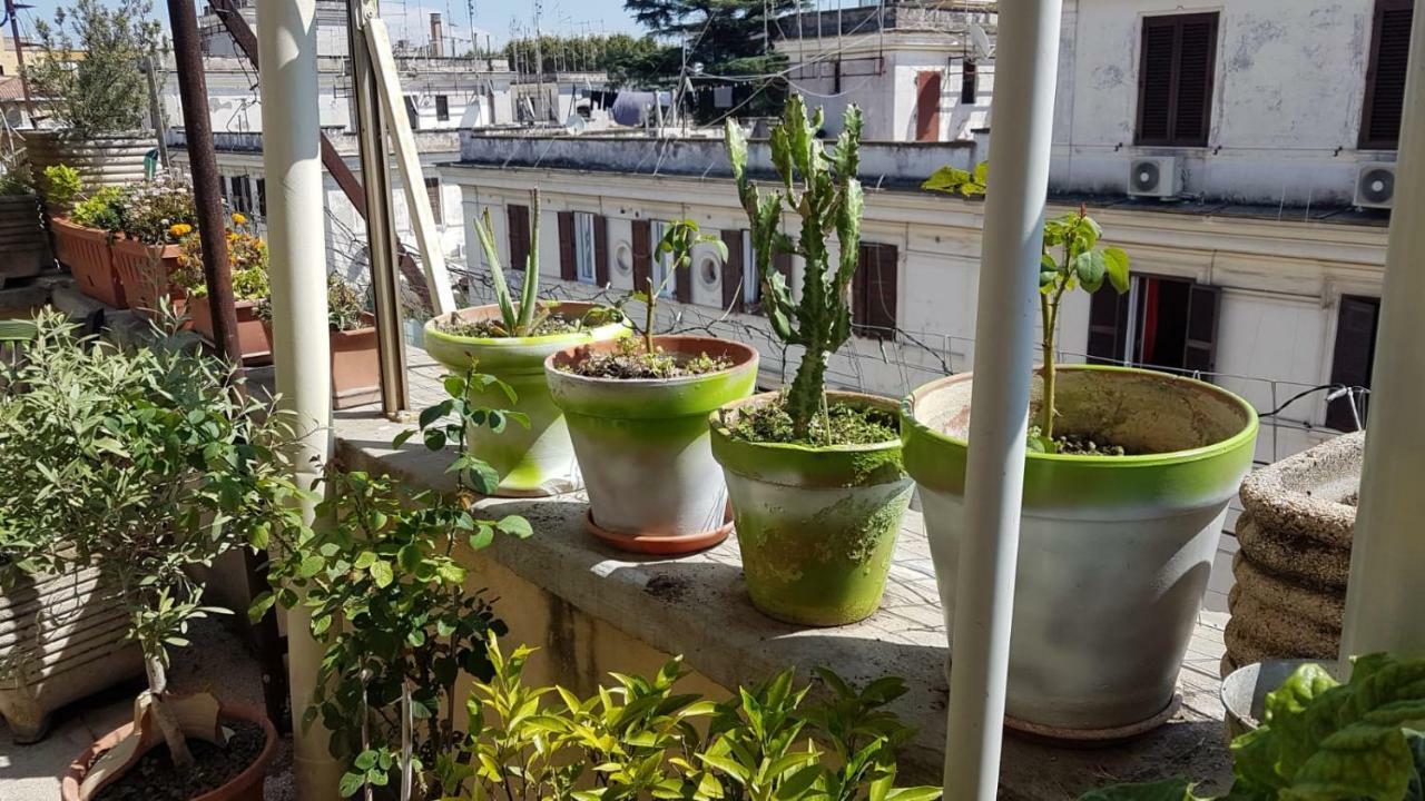 Robta'S Dream Home Ρώμη Εξωτερικό φωτογραφία